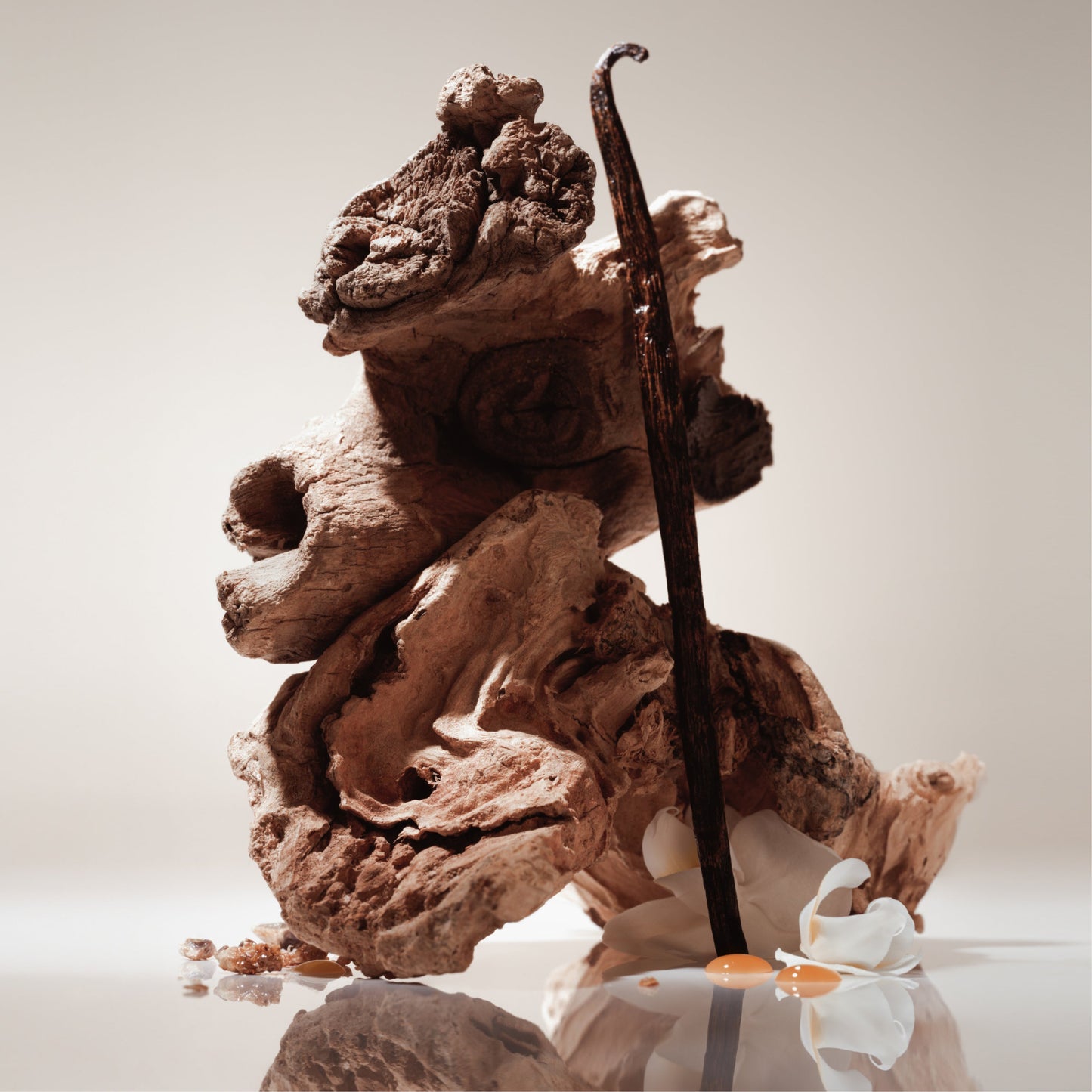 Soft Spot - Travel Size