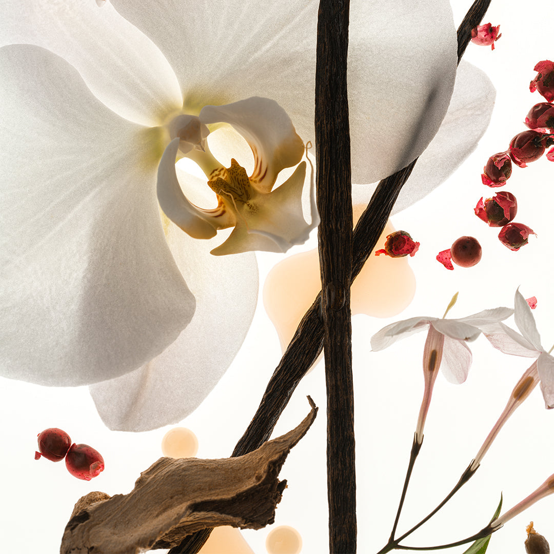 Vanilla Skin - Travel Size