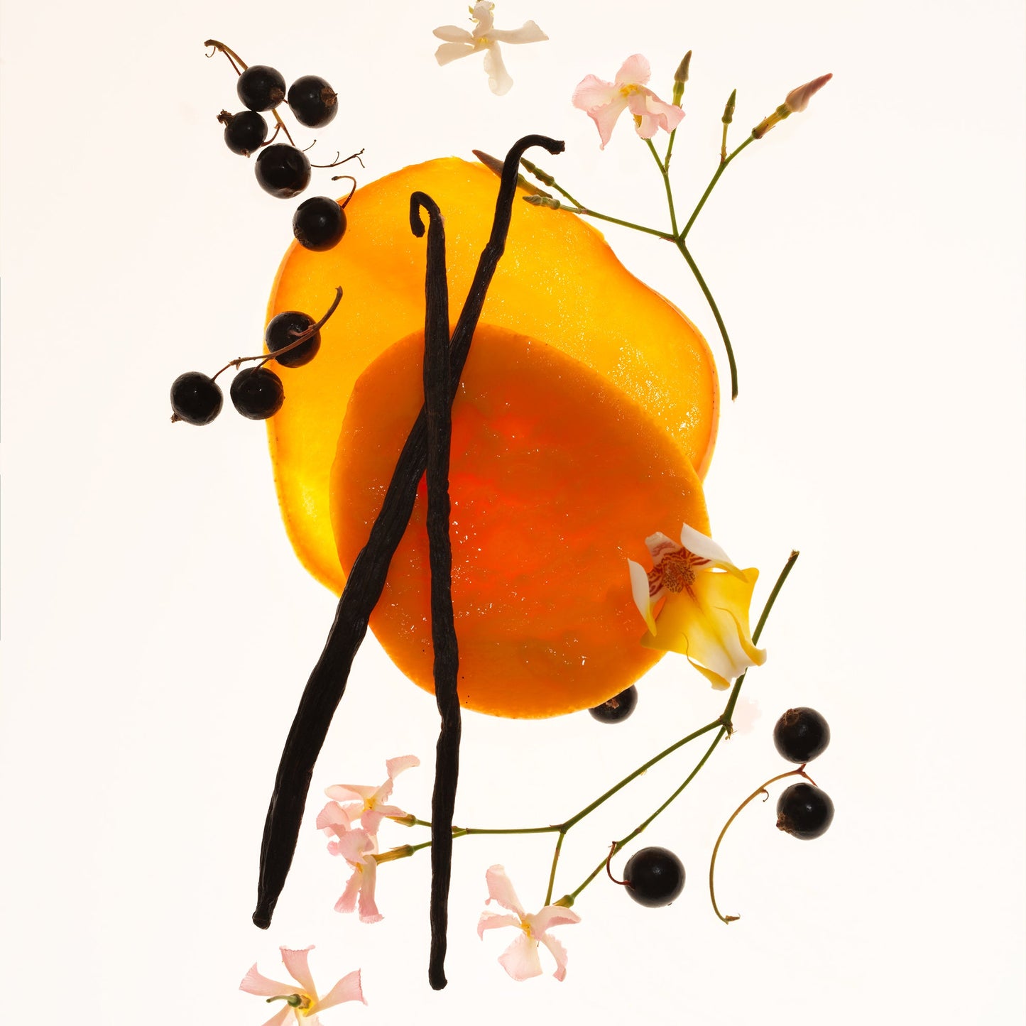 Mango Mood - Travel Size Body Mist