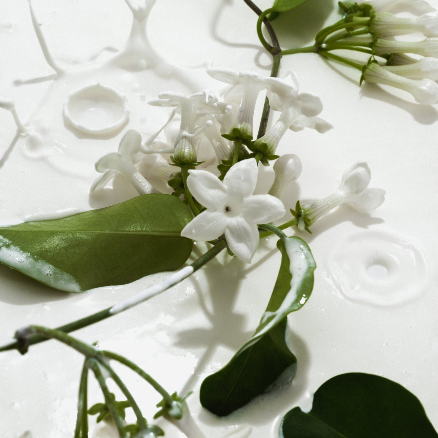 Vanilla & Cream Duo - Body Mists