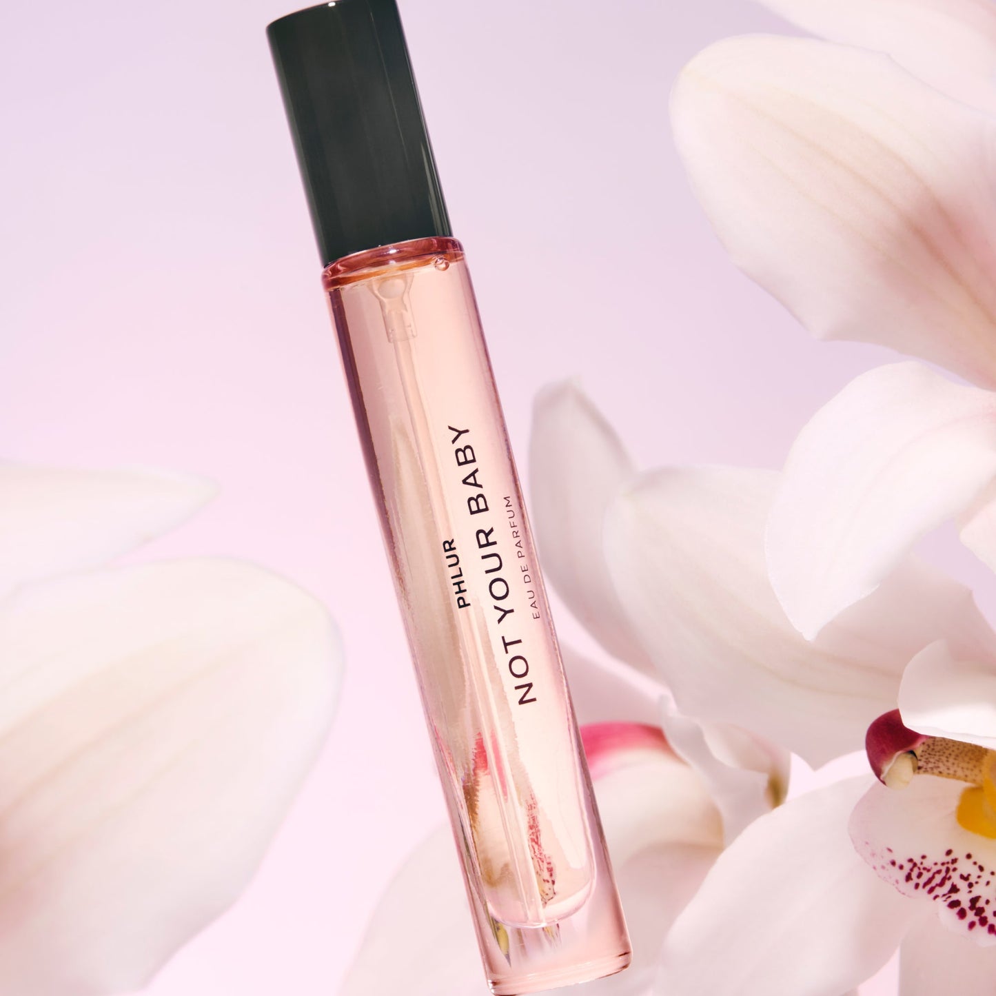 Not Your Baby - Travel Size