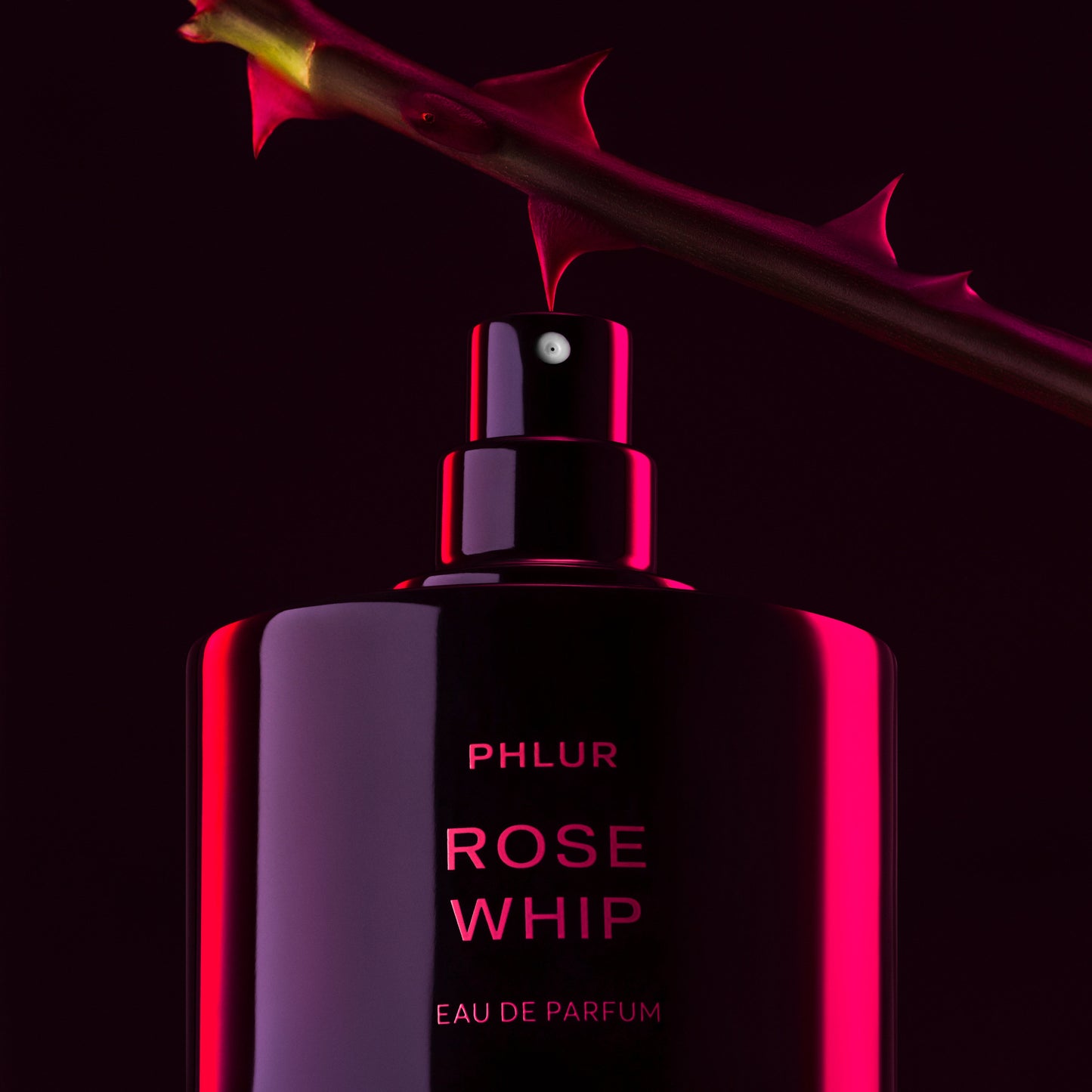 Rose Whip - 50mL
